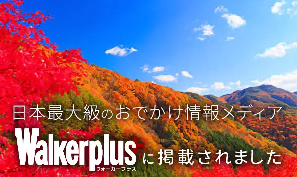 2023-24シーズン招待券につきまして | ヘブンスそのはら公式サイト