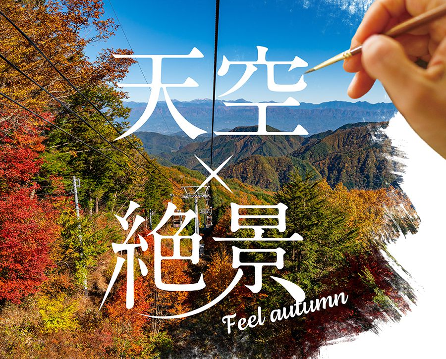 秋 Autumn Season 富士見台高原ロープウェイ ヘブンスそのはら