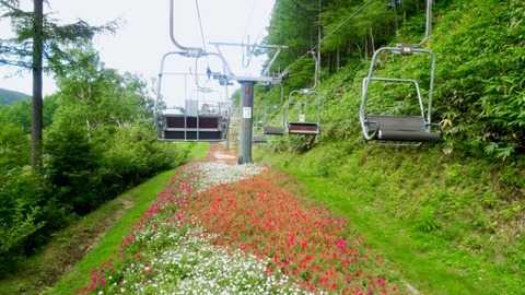 天空のお花畑 夏 富士見台高原ロープウェイ ヘブンスそのはら